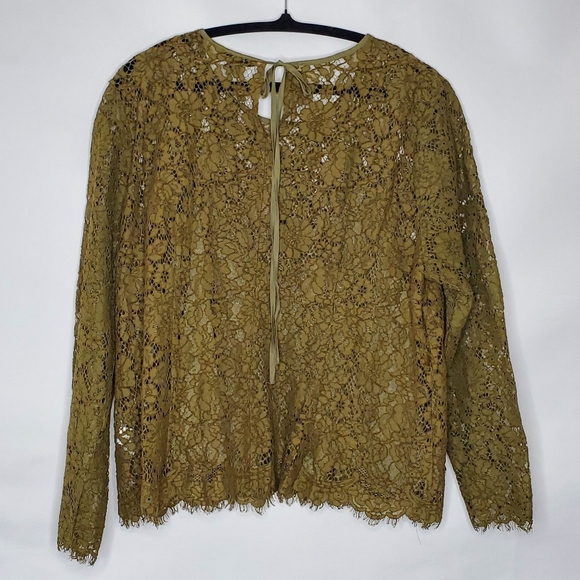 J. Crew Lace Top with Cami Size 18 Fringe Trim Long Sleeve Green Blouse Moody - Picture 4 of 15